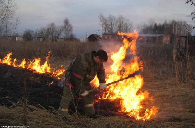 Соликамцам напомнили: категорически запрещается выжигание сухой травы